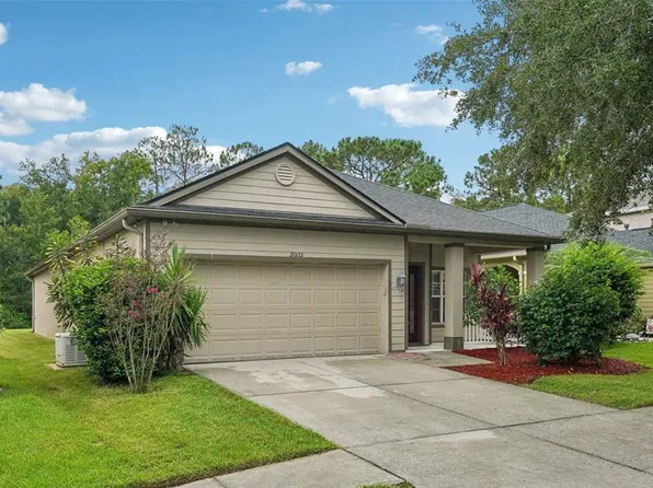 20135 BAY CEDAR AVENUE, TAMPA, FL 33647