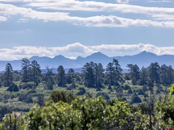 Lot 9 Lone Cone Road, Norwood, CO 81423