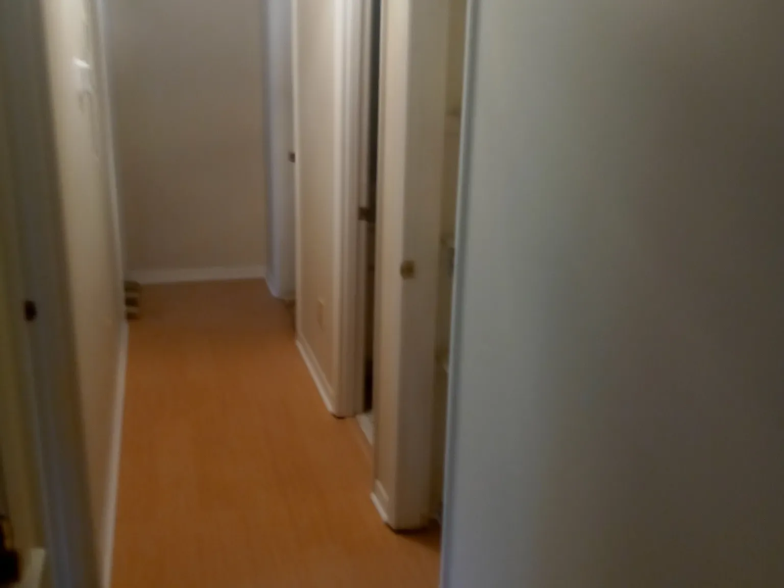 3 bed, 1805 sqft, $1,800 — Photo 4