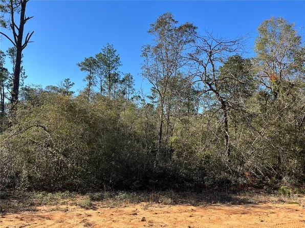 Apalachicola Avenue Lot #3, Alford, FL 32420