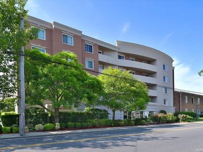 242 Maple Avenue #209, Westbury, NY, 11590
