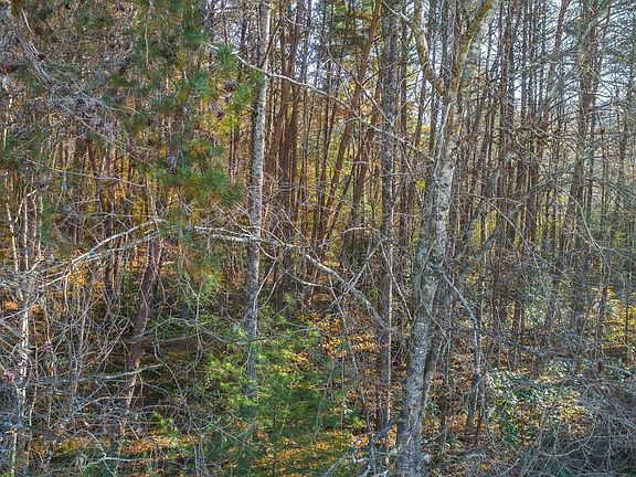 4th image of 15690 Old Highway 76
