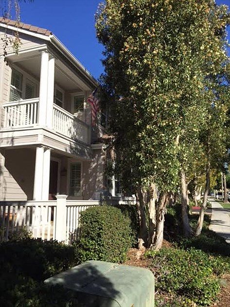 1st image of 181 Sklar St #61