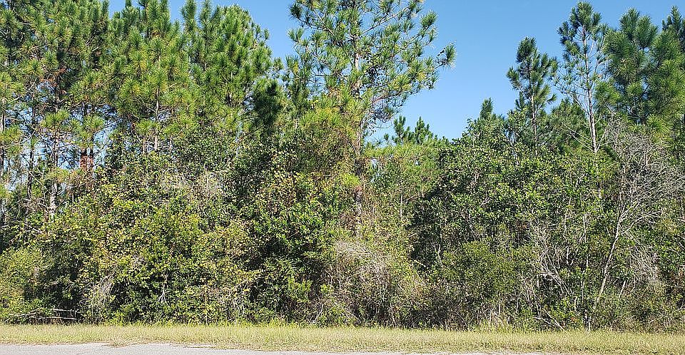 1st image of Palmland St