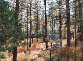 2159 Wildflower Rd, Overgaard, AZ 85933