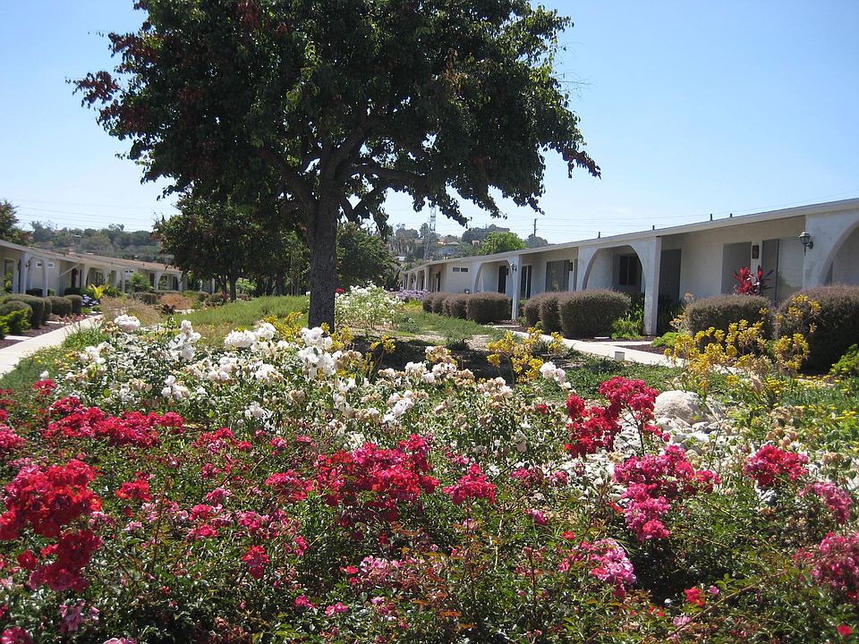 1st image of 3518 Pear Blossom Dr
