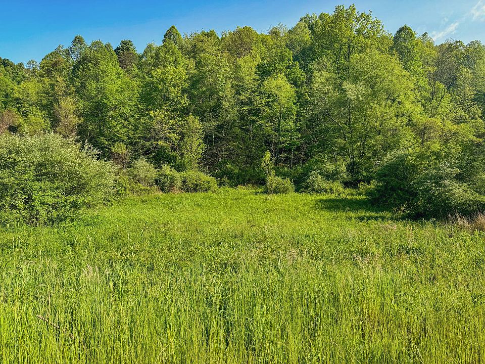 0 Crabapple Run Rd, Mannington, WV 26582 MLS 11280648 Zillow