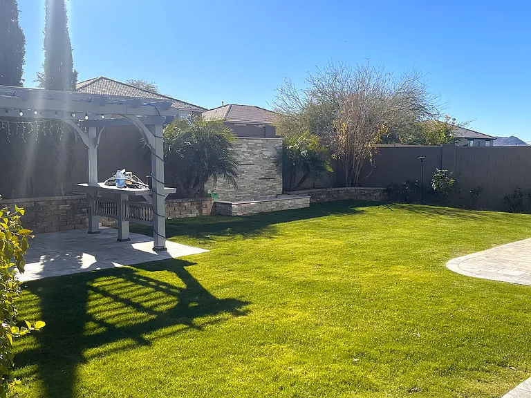 Backyard view 1