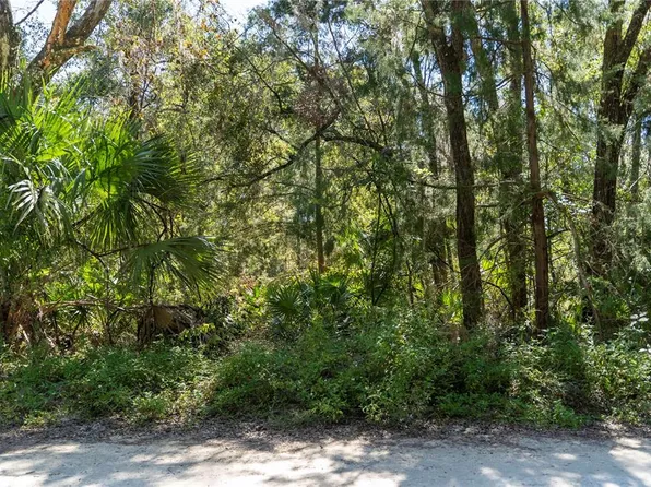NE 358th Ave Lot 1, Old Town, FL 32680