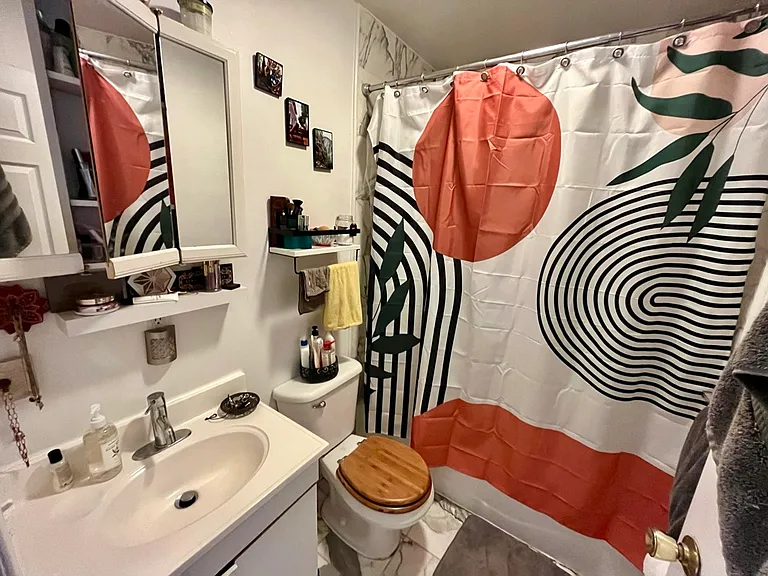 166 Orchard St #4D — Photo 7