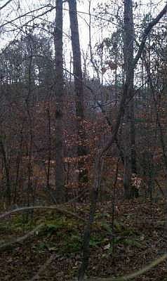 2nd image of 112 Wilson Ln