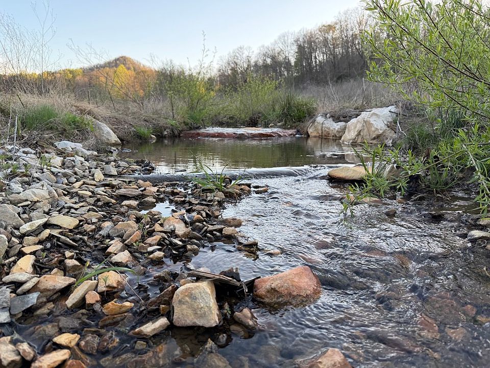 The main blue line stream running through the property