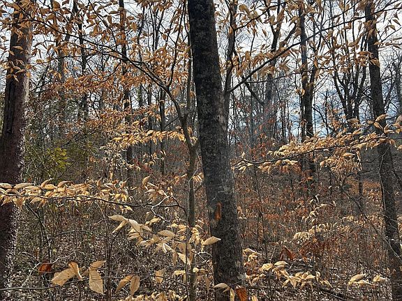 5th image of LOT 5 Lamont Ln
