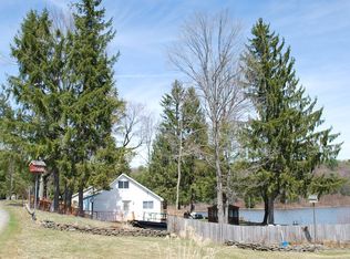 52 Deer Lake Rd, Deposit, NY 13865