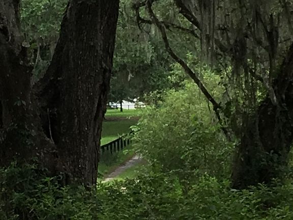 PEAK AT HOME FROM DRIVE