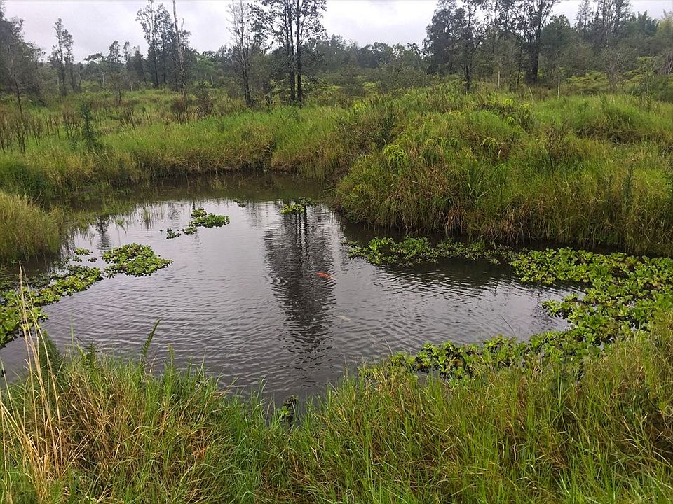 1st image of Road 9 Koloa Maoli Lot 5604