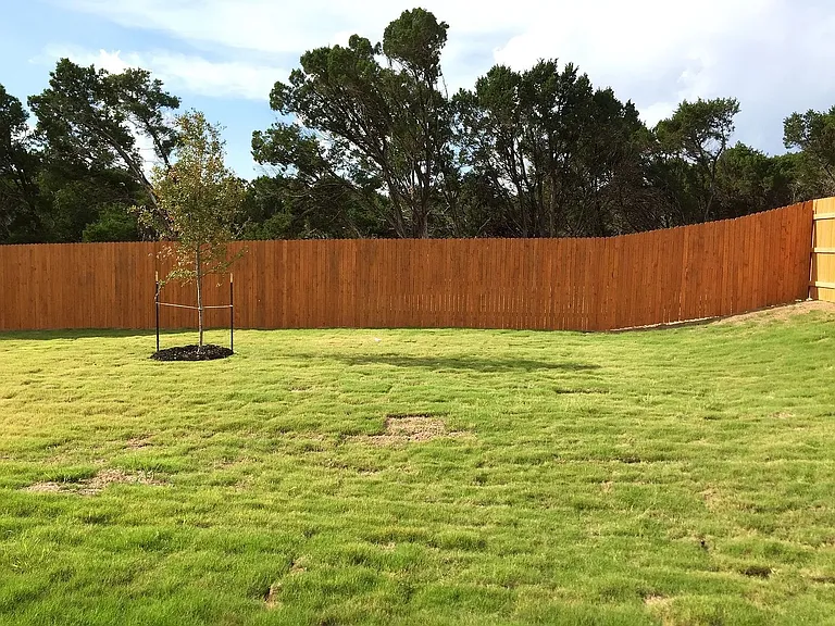 2320 Bettylou Ln — Photo 5