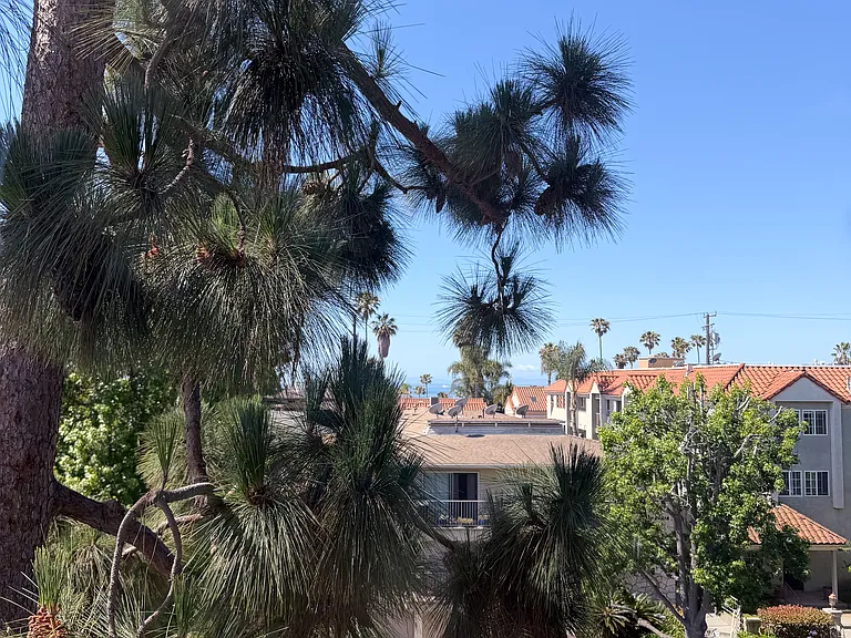 Tree-lined beautiful 1st street