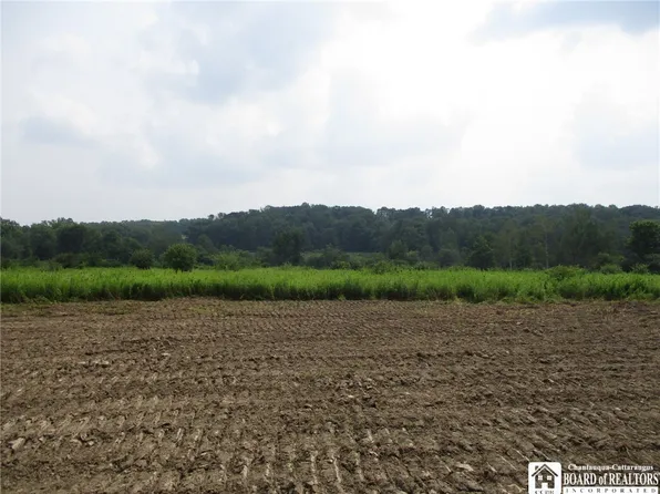 0 Fulmer Valley Rd, Andover, NY 14806