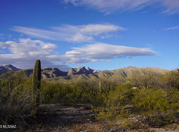 2nd image of 9059 E Bear Canyon Pl #3