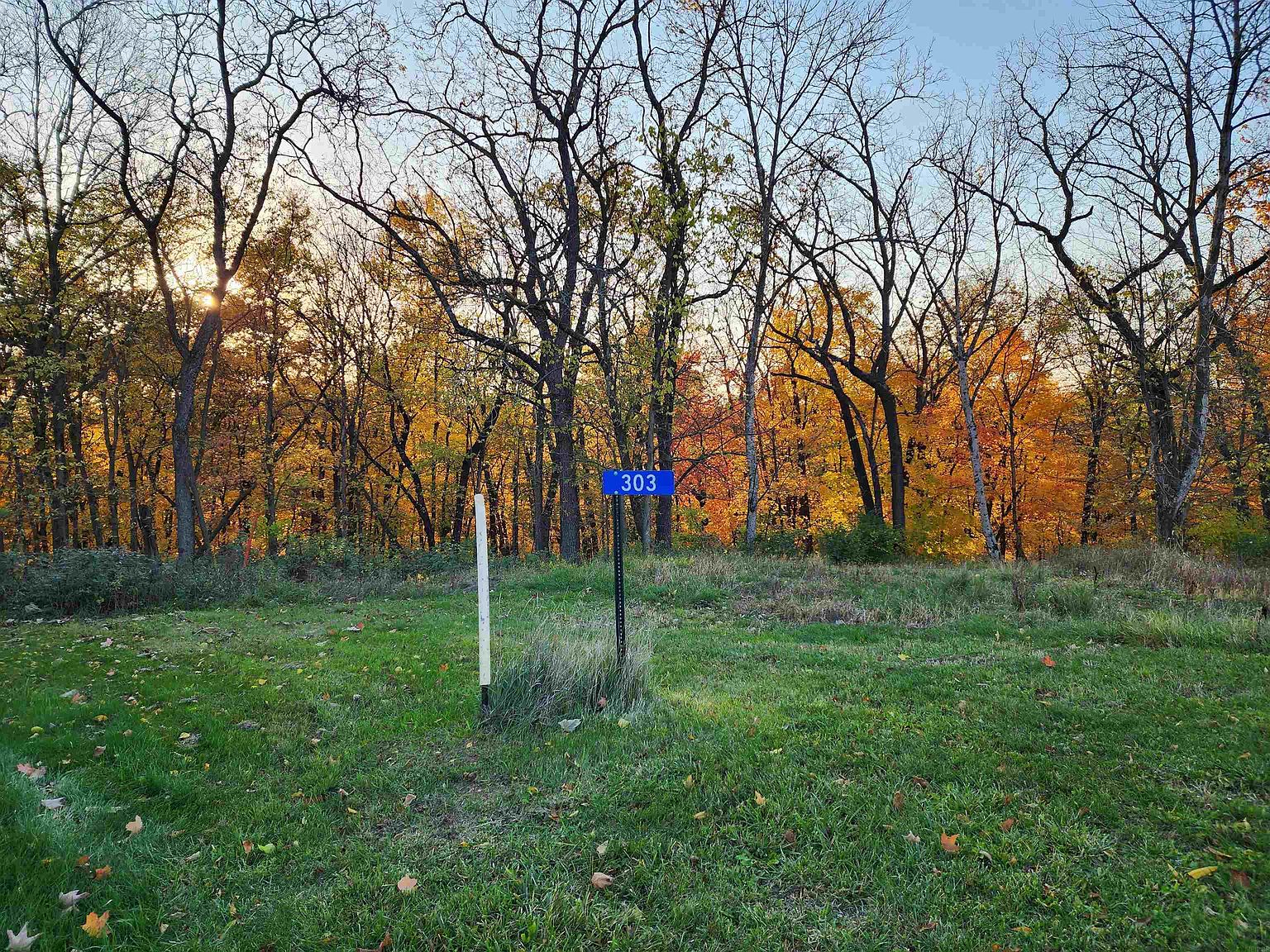 303 Eagle Dr 2977, Mc Gregor, IA 52157 MLS 20234808 Zillow