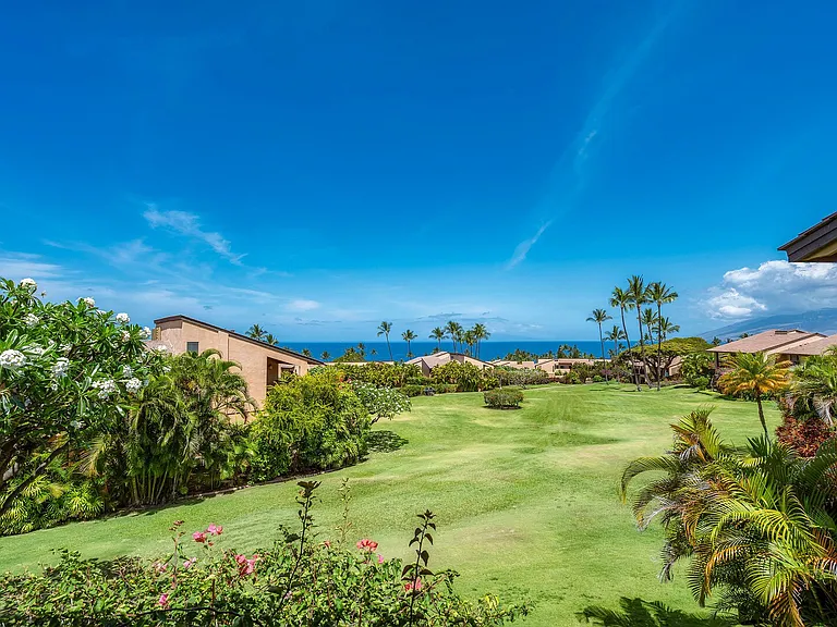 Wailea Alanui Dr — Photo 11