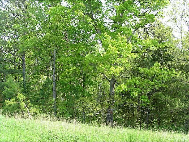 1st image of 9946 Hickory Flat Hwy