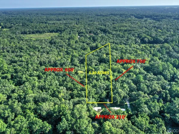 1945 S Mohican Trl, Inverness, FL 34450