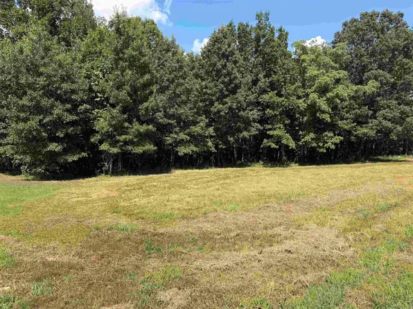 0 Caddy Cove Ln Lot 34, Mountain View, AR 72560