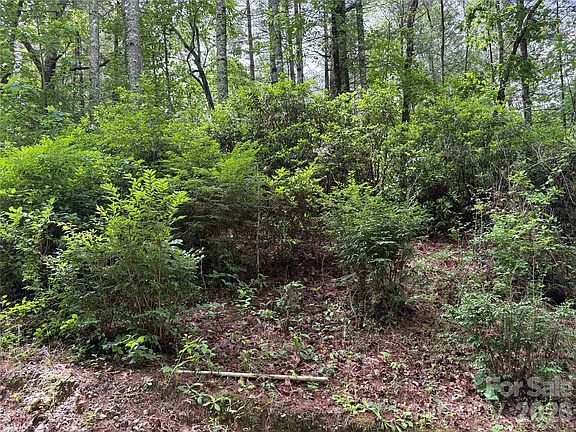 5th image of 197 Fox Hollow Cir #28