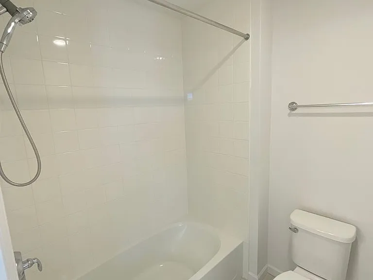 1743 Spring Water Point — Photo 36
