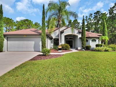 6 Maidenbush Ct E, Homosassa, FL, 34446