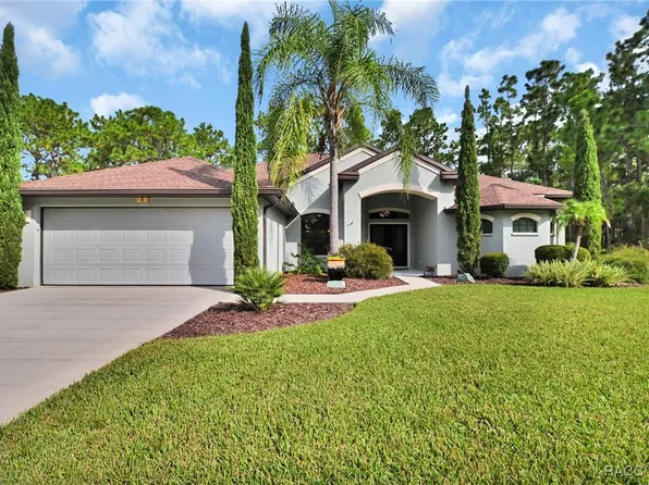 6 Maidenbush Ct E, Homosassa, FL 34446