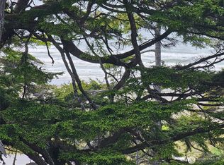 4128 St Route 109, Pacific Beach, WA 98571