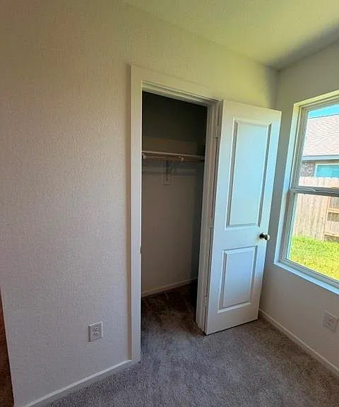 6402 Begonia Trellis Dr — Photo 9