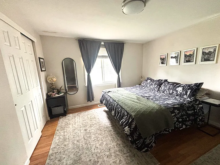Primary bedroom, king size bed