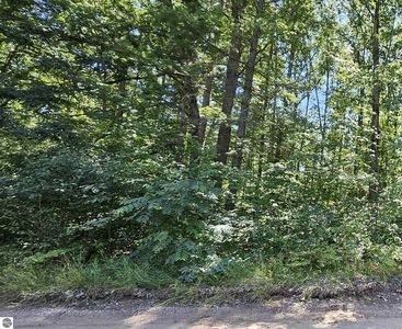 0 Merritt St, Fife Lake, MI, 49633