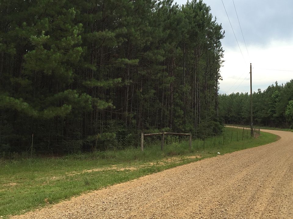 2nd image of Rattlesnake Rd