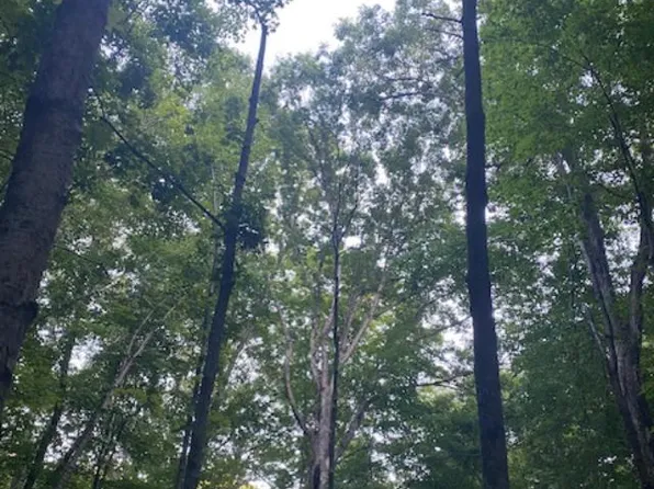 LOT 79 S Valley View Dr, Shepherdsville, KY 40165