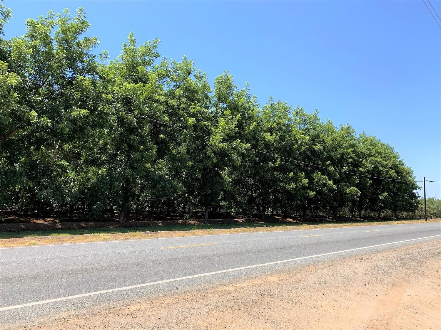 0 Avenue 192, Strathmore, CA 93267 Zillow