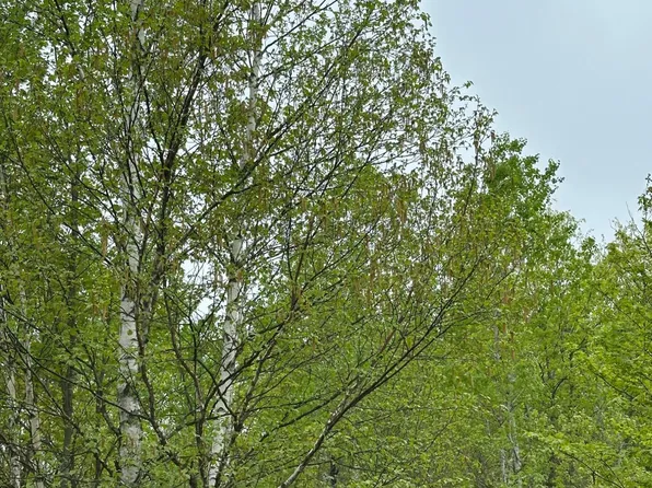 Kelly Fire Ln Lot 2, Tomahawk, WI 54487