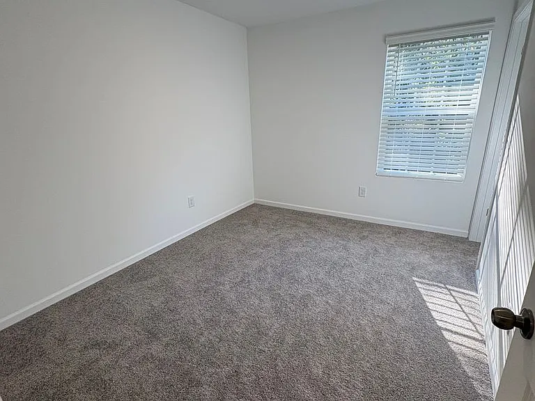 19 Napier Ct — Photo 22