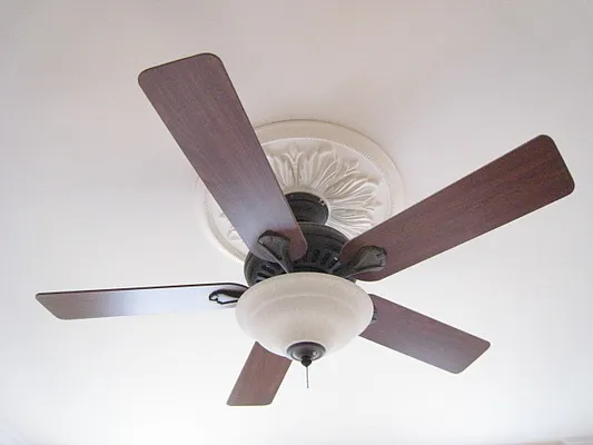 Rented by Cooper & Cooper Real Estate | media 25