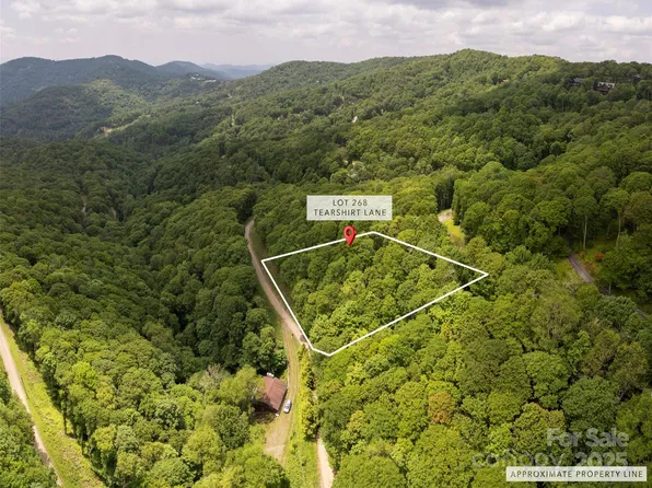 0 Tearshirt Ln #268, Mars Hill, NC 28754