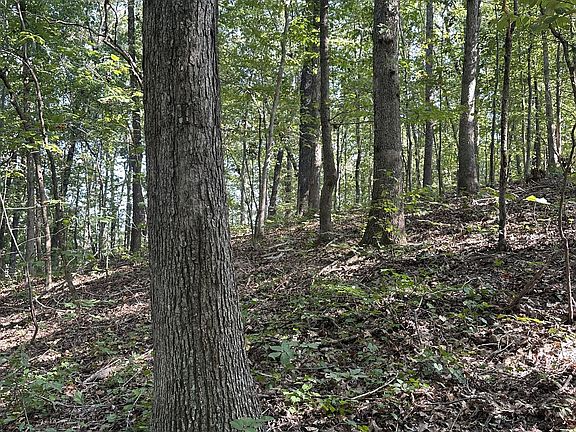 5th image of 0 Perkins Rd