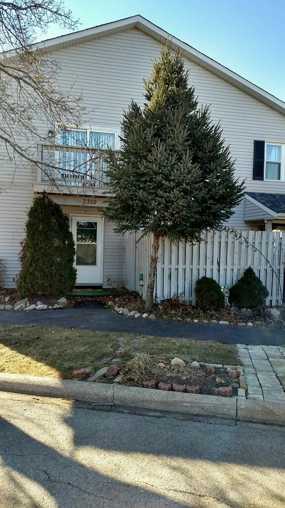 2339 Aster Dr photo 1
