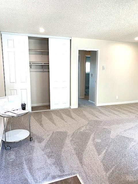 Extra large closet in the living room