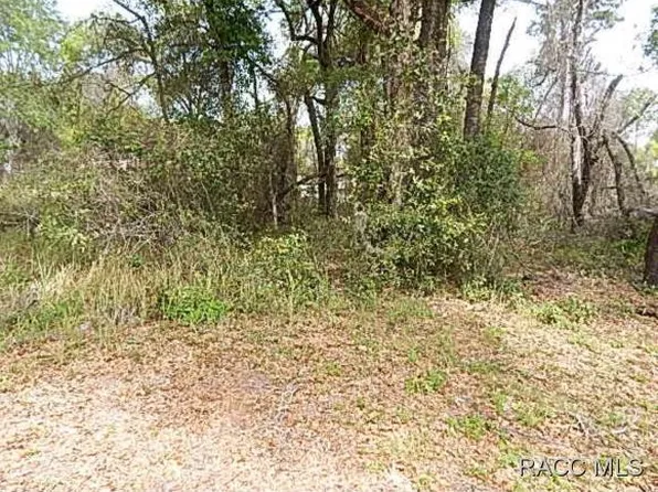 6149 E Penrose St, Inverness, FL 34452