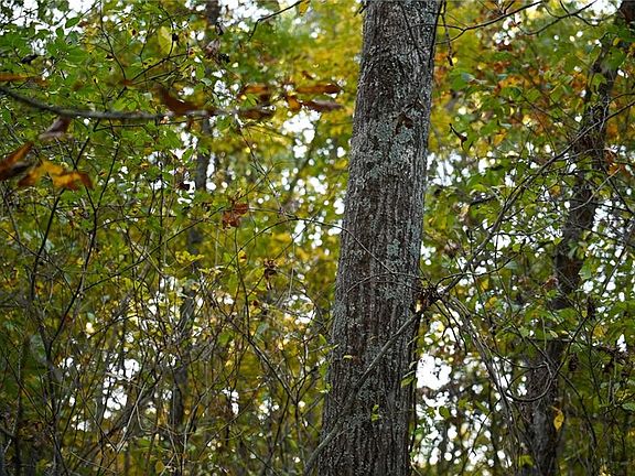 4th image of 21395 S 725th Rd