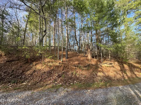 0 Bible Way Lot 49, Hartford, TN 37753